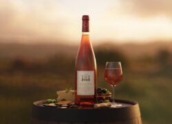 475088544_973519561322801_1793796733730108312_n